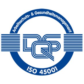 DQS 45001 DQS 45001