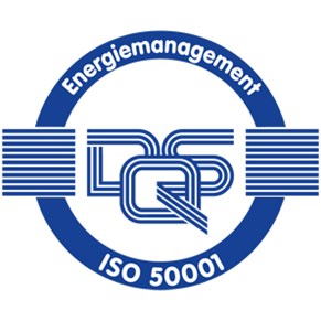 DQS 50001 DQS 50001