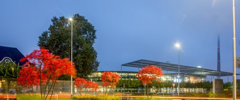 Strasse_Platz_mit_Blumenkübel_Gewerbe Strasse_Platz_mit_Blumenkübel_Gewerbe