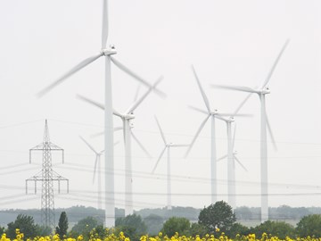 Windräder und Stromleitungen im Hintergrund eines Rapsfeldes Windräder und Stromleitungen im Hintergrund eines Rapsfeldes